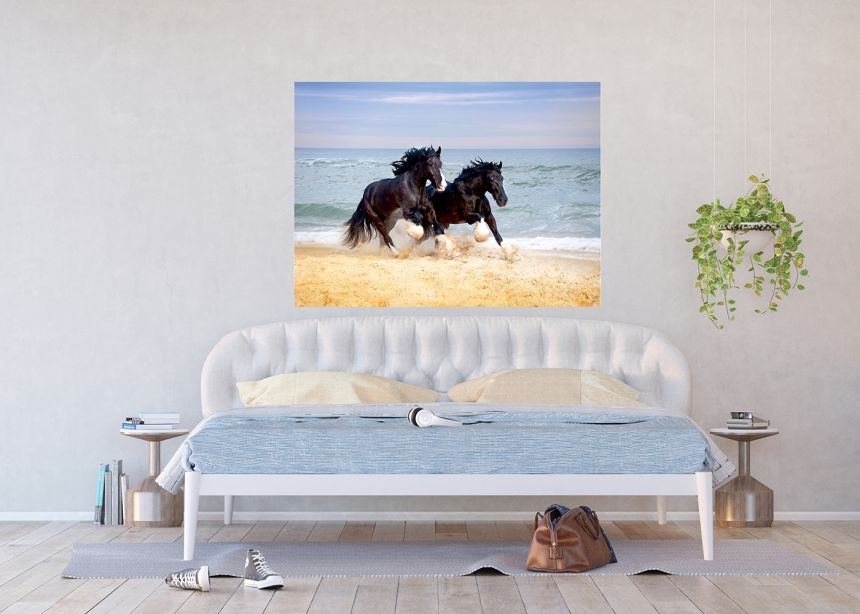 Fototapeta na zeď FTN M 2692, Koně na pláži, 160 x 110 cm, AG Design