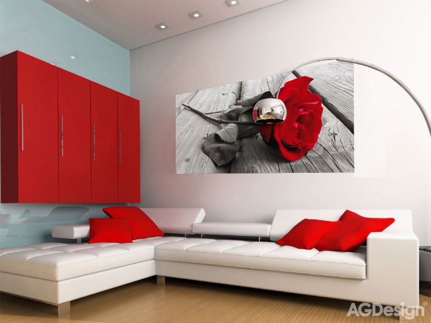 Fototapeta na zeď FTN H 2717, Červená růže, 202 x 90 cm, AG Design 
