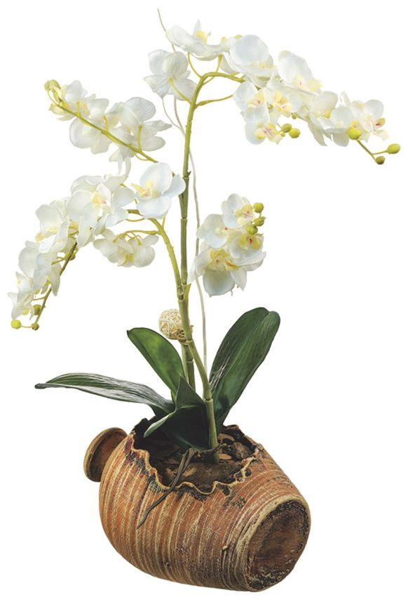 Samolepka / samolepiaca dekorácia na stenu SM 3430, Orchidea, AG Design