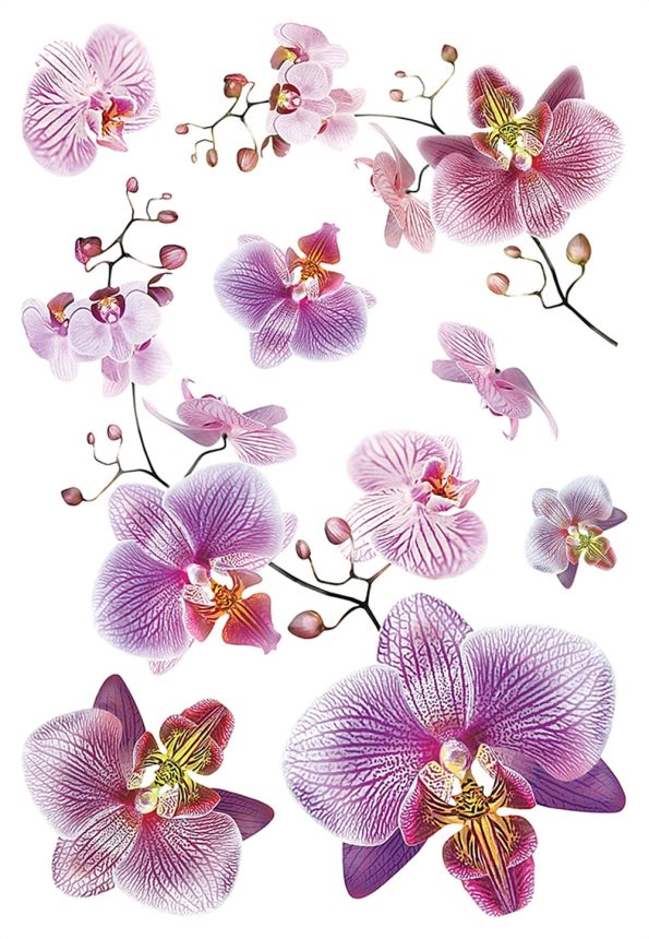 Samolepka / samolepiaca dekorácia na stenu SM 3440, Orchidea, AG Design