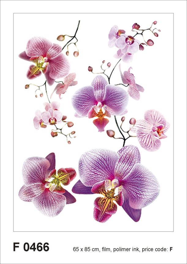 Samolepka / samolepící dekorace na zeď F 0466, Květy růžové orchideje, AG Design 