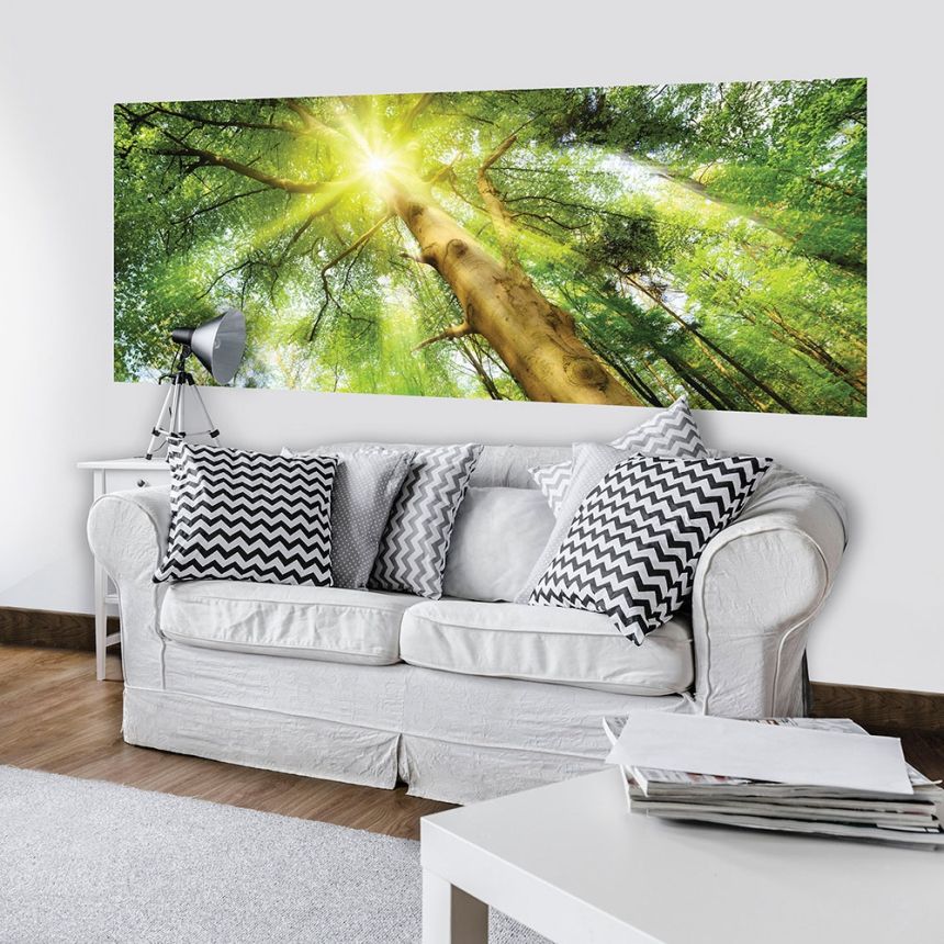 Vliesová obrazová tapeta Slnko v korunách stromov 44111, 250 x 104 cm, Photomurals, Vavex