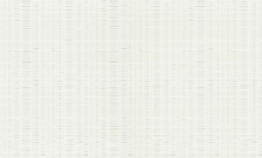 Luxusná bielo-strieborná vliesová tapeta, 86040, Valentin Yudashkin 5, Emiliana Parati