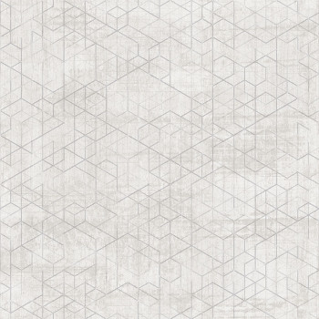 Luxusná vliesová tapeta EE22553, Geometric, Essentials, Decoprint