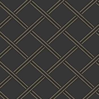 Vliesová geometrická 3D tapeta na stenu BO23034, Braid, Bohème, Decoprint