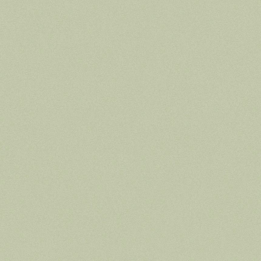 Jednofarebná zelená vliesová tapeta, 120885, Joules, Graham&Brown