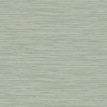 Zelená štruktúrovaná vliesová tapeta, 120726, Vavex 2025