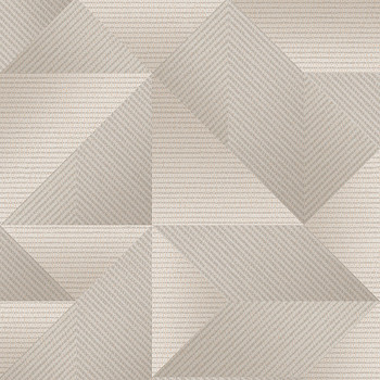 Sivá vliesová geometrická 3D tapeta, TP422973, Exclusive Threads, Design ID