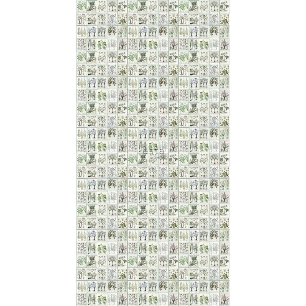 Vliesová tapeta s rastlinami a kvetinami, 159229, Vintage Flowers, Esta Home