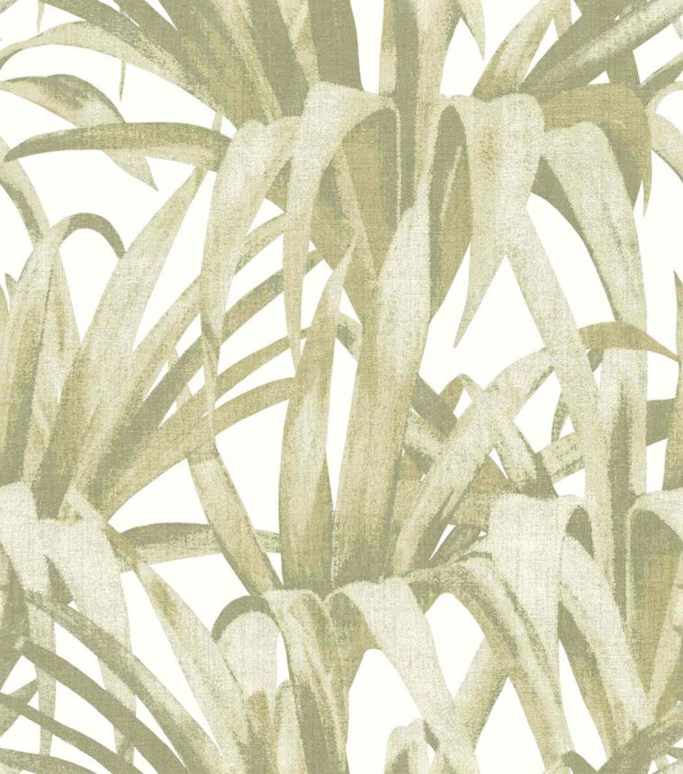 Vliesová tapeta na stenu, zelená, listy, 15525, Botany House, Cristiana Masi by Parato