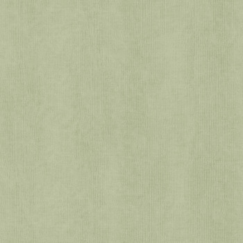 Vliesová tapeta na stenu, zelená, imitácia látky, FW1038, Feature Walls,  Decoprint