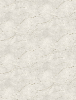 Vliesová obrazová tapeta na stenu, sivo-béžová, mramor, FW4060-1, Feature Walls, Decoprint