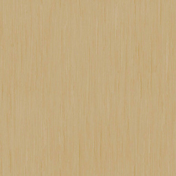 Vliesová tapeta na stenu, zlatá, textúra, 25793, The Best Classic & Elegant, Cristiana Masi by Parato