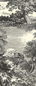 Obrazová tapeta, čierna, les, stromy, DGSAL1011-300, Amazone, Masureel