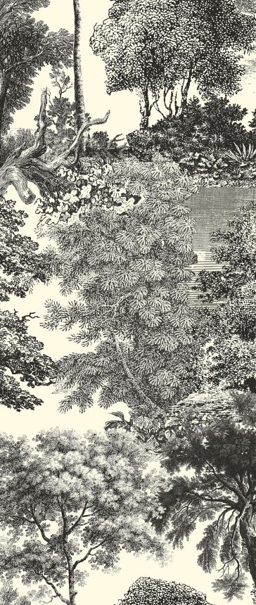 Obrazová tapeta, čierna, les, stromy, DGSAL1012-300, Amazone, Masureel