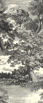 Obrazová tapeta, čierna, les, stromy, DGSAL1013-260, Amazone, Masureel