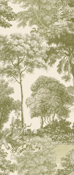 Obrazová tapeta, zelená, les, stromy, DGSAL1032-300, Amazone, Masureel