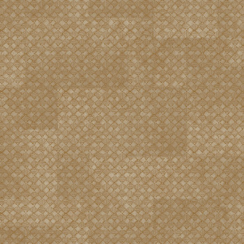 Tapeta luxusná, geometrická, vliesová, na stenu, hnedá, Z30348, Casa 8, Trussardi