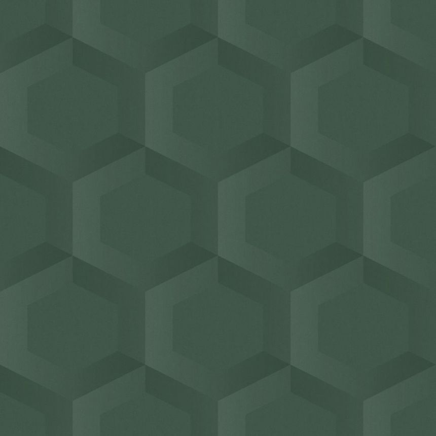 Tapeta, zelená, hexagóny, 348021, 3D Reflections, Origin
