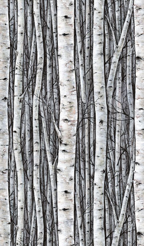 Fototapeta na stenu, sivomodrá, stromy, brezový háj, 35395, Timber, Marburg