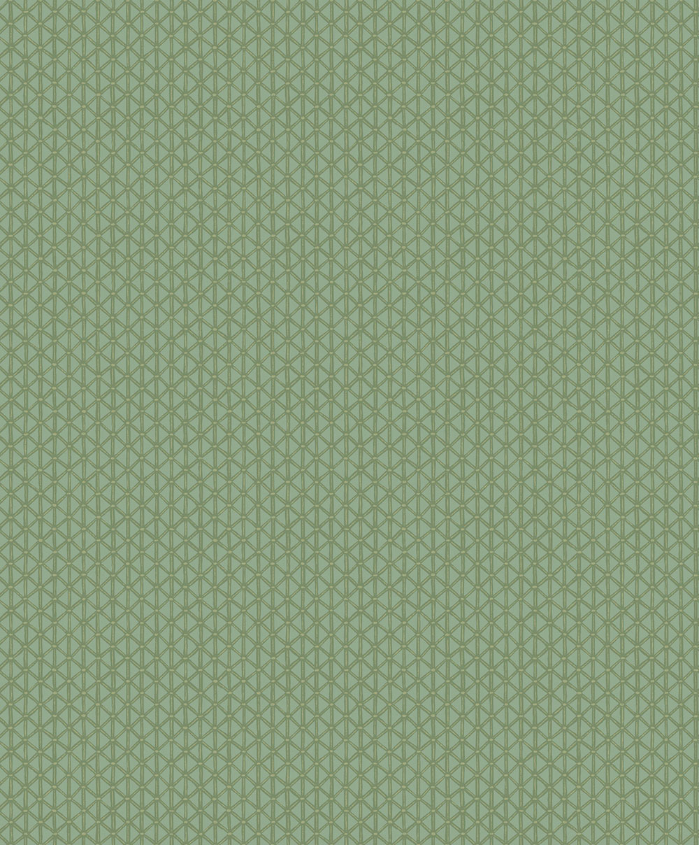 Geometrická tapeta, zelená, 351223, Magnifique, Eijffinger