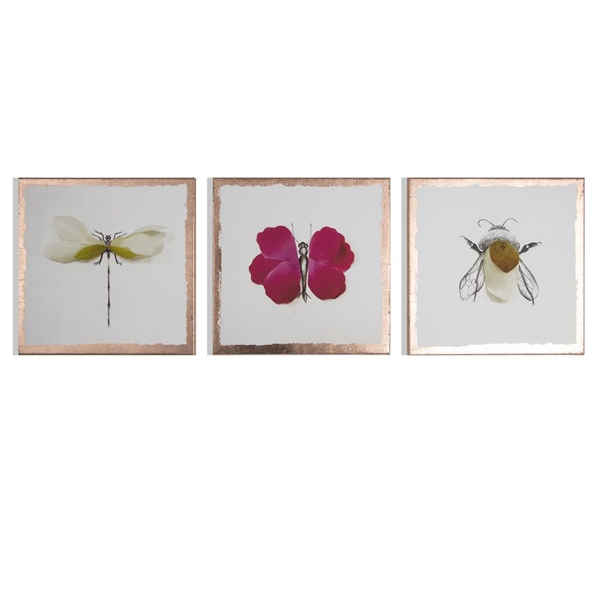 Set obrazov Beautiful Bugs 104580, Wall Art, Graham Brown
