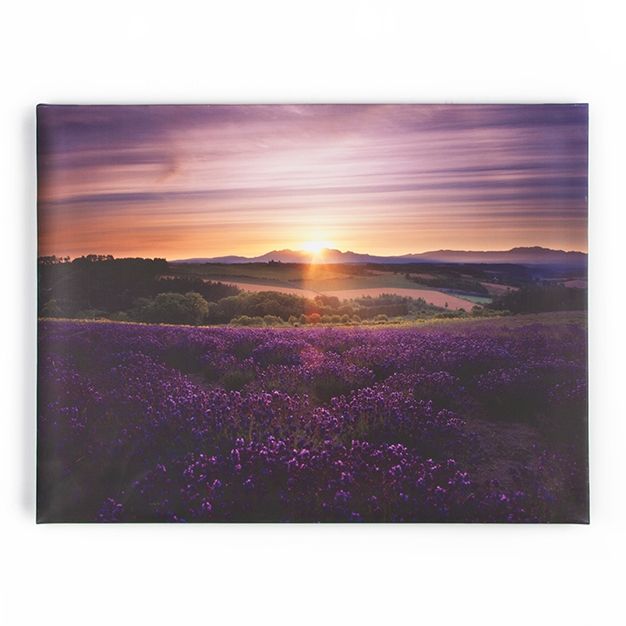 Obraz Levanduľa 40-886, Lavender Sunset, Wall Art, Graham Brown