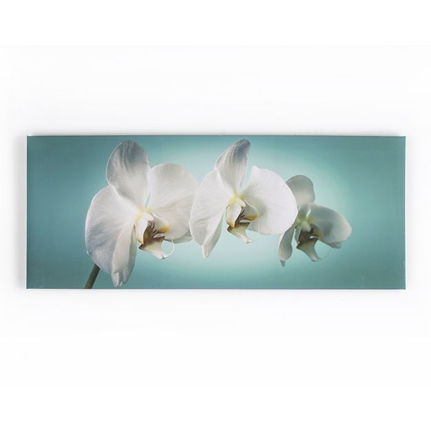 Obraz Orchidey 40-615, Teal orchidea, Wall Art, Graham Brown