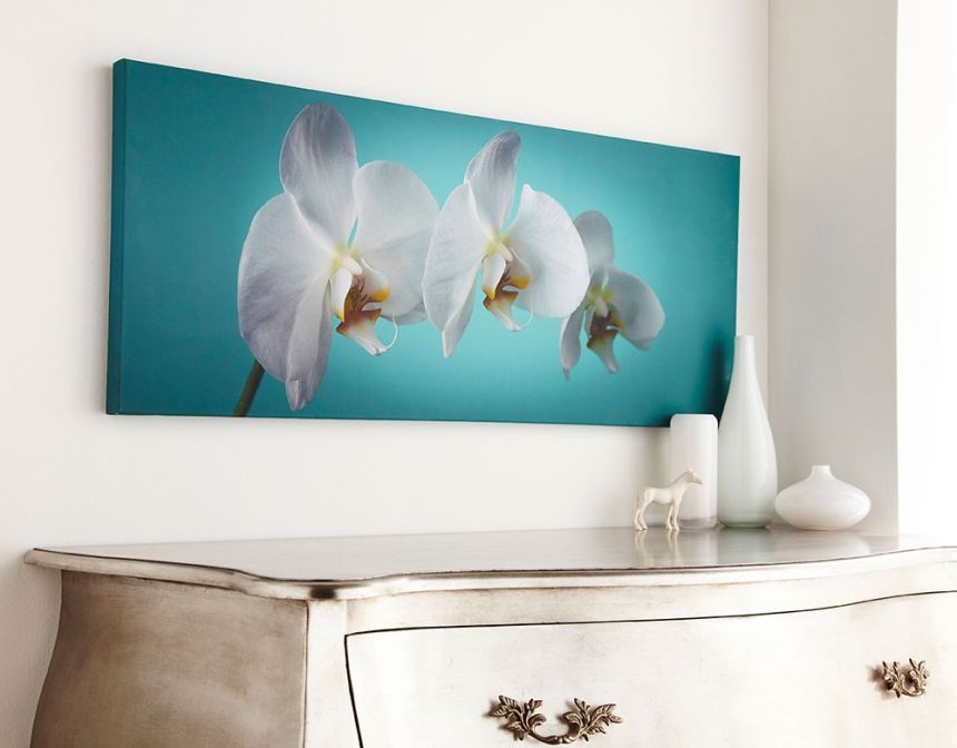 Obraz Orchidey 40-615, Teal orchidea, Wall Art, Graham Brown