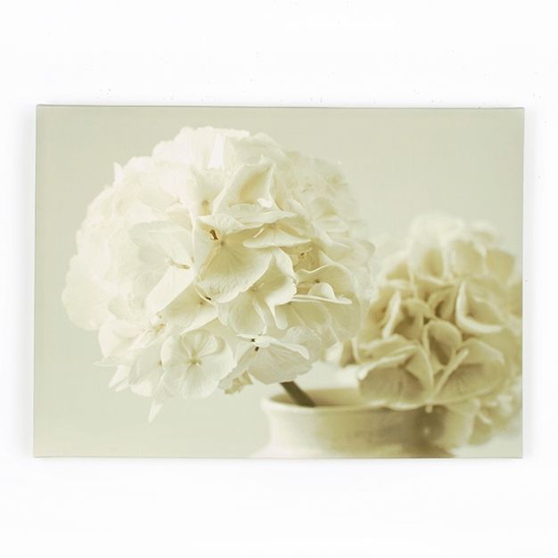 Obraz Biele kvety 40-618, Tranquality, Wall Art, Graham Brown