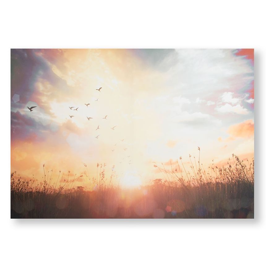 Tlačený obraz Západ slnka 105890, Serene Sunset Meadow, Wall Art, Graham & Brown