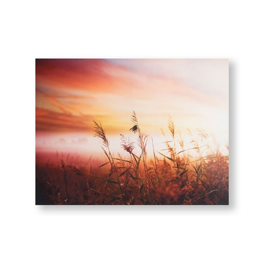 Tlačený obraz Ranné slnko 105888, Morning Sunrise Meadow, Wall Art, Graham & Brown