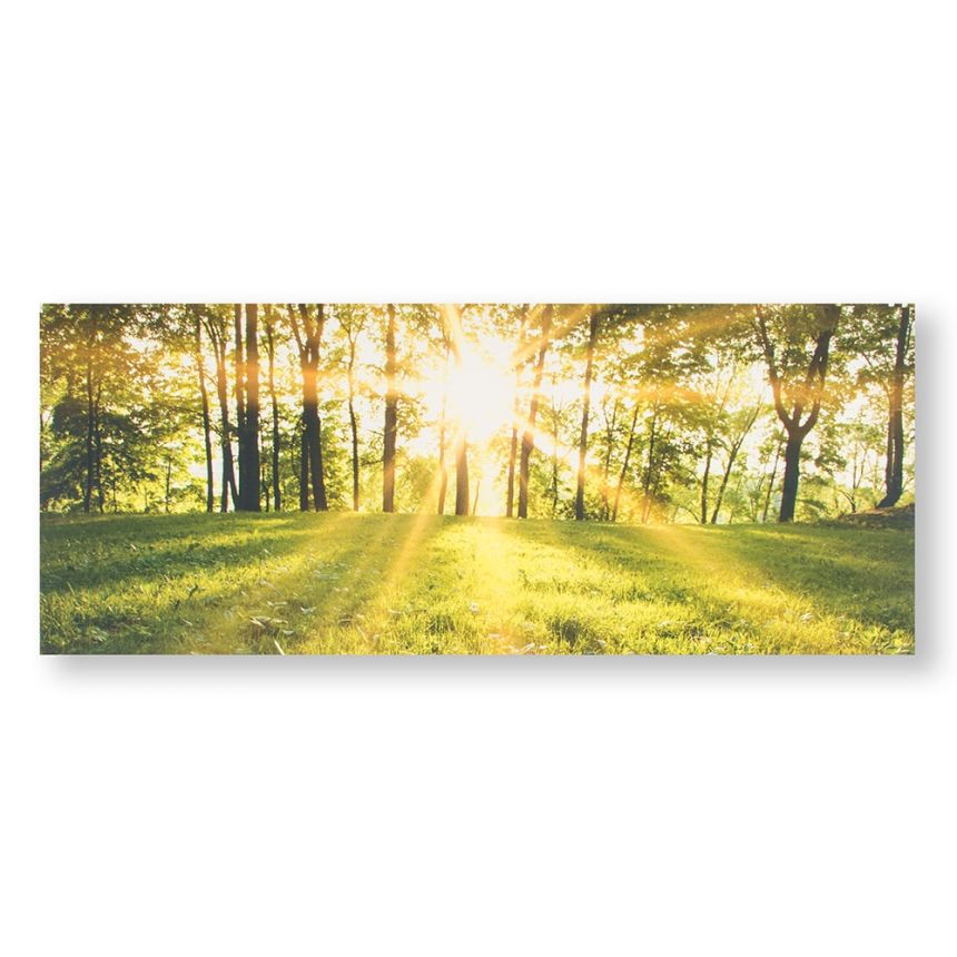Tlačený obraz Les v slnku 105887, Tranquil Forest Fields, Wall Art, Graham & Brown