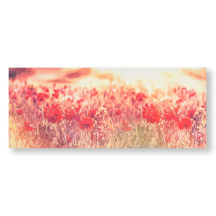 Tlačený obraz Vlčie maky 105886, Peaceful Poppy Fields, Wall Art, Graham & Brown
