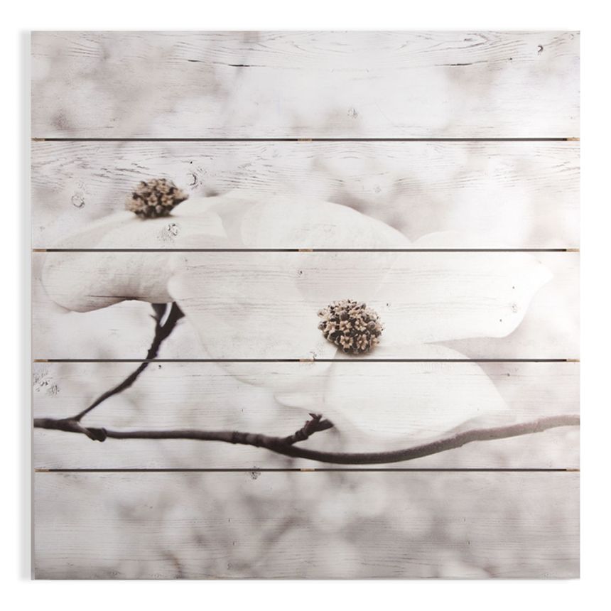 Obraz - tlač na dreve - Serenity Blossoms 104589, Wall Art, Graham Brown
