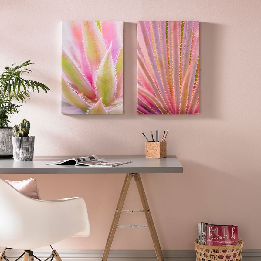 Set bezrámových obrazov Blushed Tropics 104578, Wall Art, Graham Brown