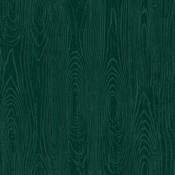 Zelená metalická vliesová tapeta imitacia dreva 347557, Matières - Wood, Origin