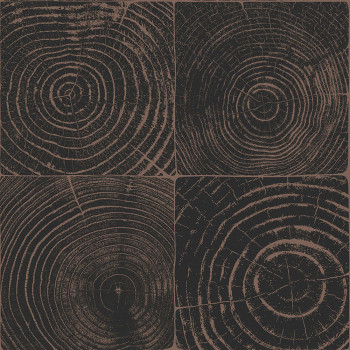 Čierno-hnedá vliesová tapeta imitacia dreva s letokruhmi 347550, Matières - Wood, Origin
