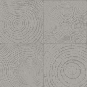 Sivá vliesová tapeta imitácie dreva s letokruhmi 347548, Matières - Wood, Origin