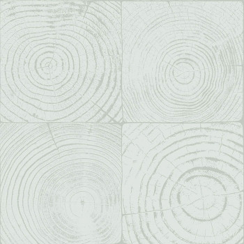 Svetlo tyrkysová vliesová tapeta imitacia dreva s letokruhmi 347545, Matières - Wood, Origin