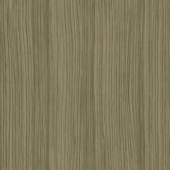 Vliesová hnedá tapeta so štruktúrou dreva 347348, Matières - Wood, Origin