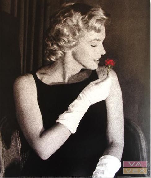 Plagát 7872, Fotografie Marilyn Monroe, rozmer 60 x 50 cm