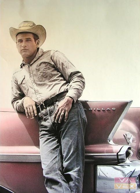 Plagát 3212, Paul Newman, rozmer 98 x 68 cm
