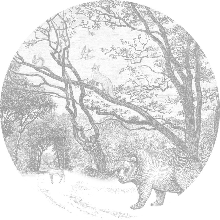 Samolepiaca kruhová obrazová tapeta Les, lesné zvieratká 159083, priemer 140 cm, Forest Friends, Esta