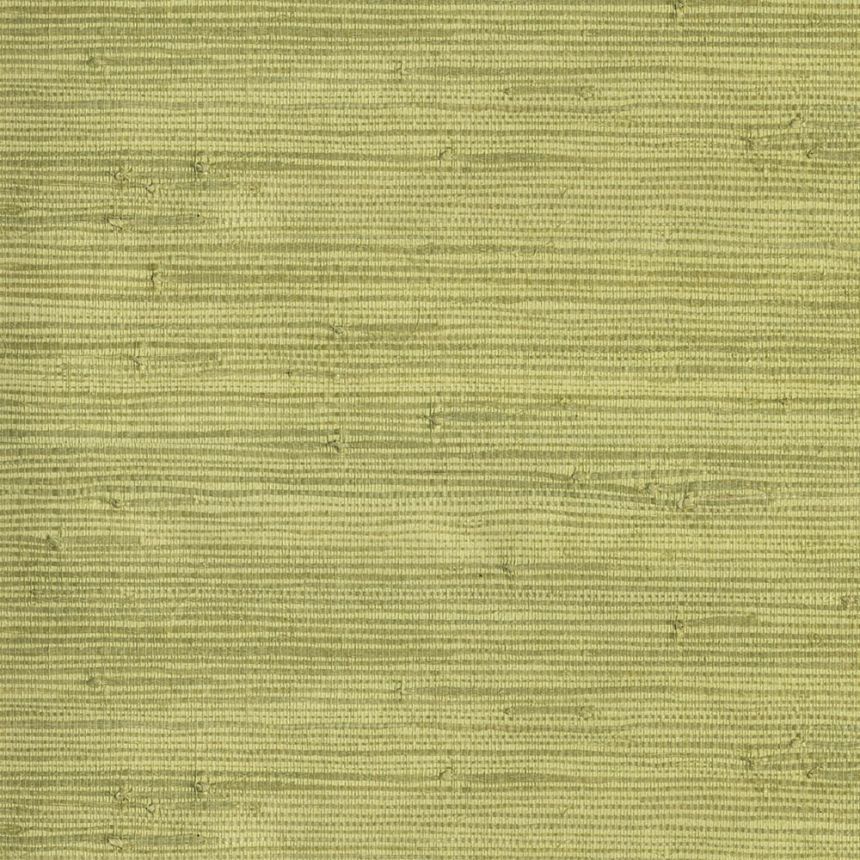 Prírodná tapeta na stenu 303502, Natural Wallcoverings III, Eijffinger