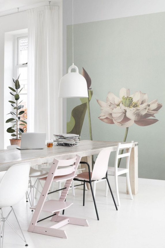 Vliesová fotoapeta, kvet lekna 158890, 186 x 279 cm, Blush, Esta Home