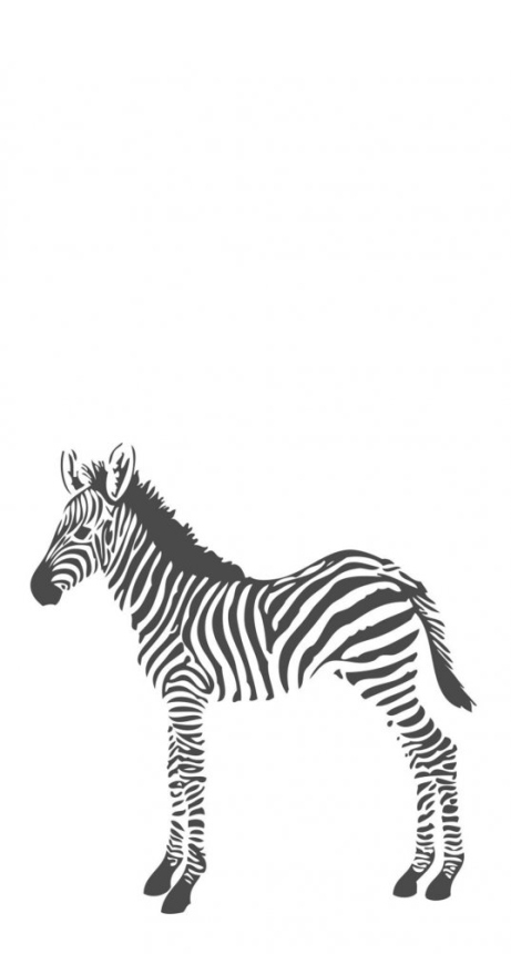 Vliesová fototapeta - zebra 357217, 150x279cm, Precious, Origin