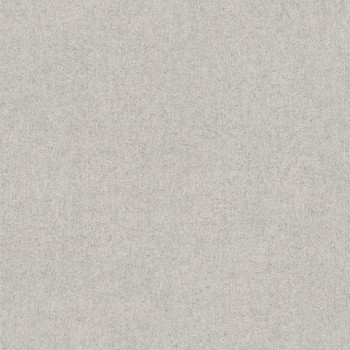 Sivo-biela vliesová betonova tapeta M35629, Couleurs 2, Ugépa