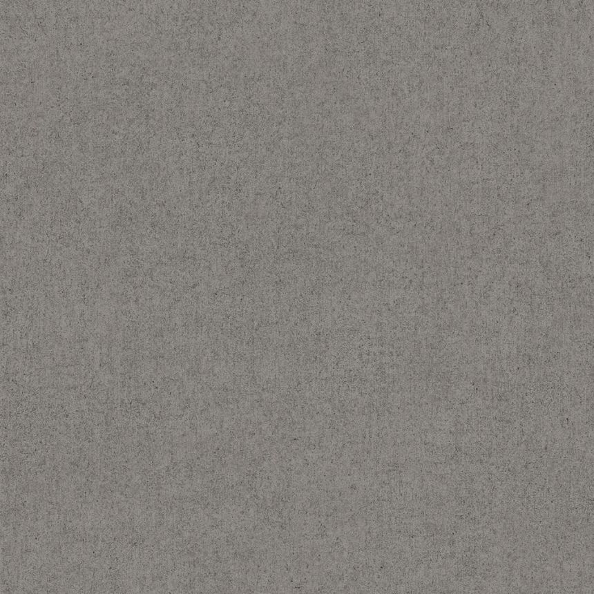 Sivá vliesová betonova tapeta na stenu 235609, Premium Selection, Vavex