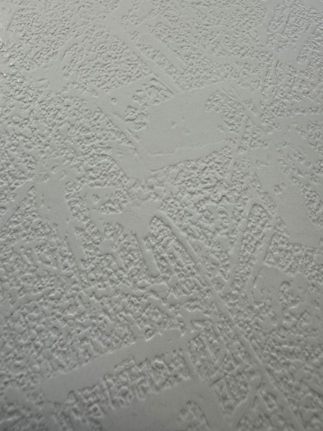 Papierová tapeta na stenu Imitácia omietky 2001700 Old Friends II, Vavex 2025